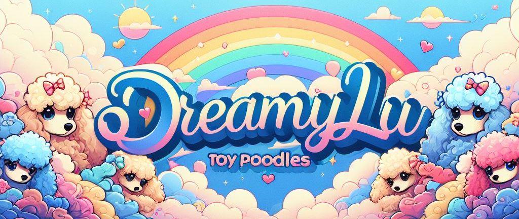 Dreamylu Toy Poodles